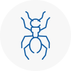 Ant Removals In Saltash
