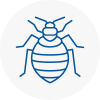 Bed Bug Extermination In Saltash