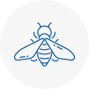 Bee Nest Removal Saltash