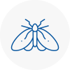 Moth Control Specialists In Saltash
